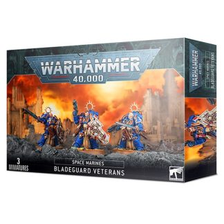 Space Marines Bladeguard Veterans